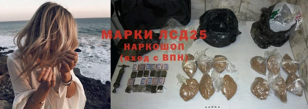 герыч Ельня