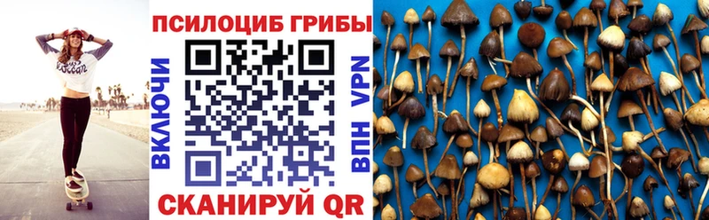 Псилоцибиновые грибы мицелий  Карасук 